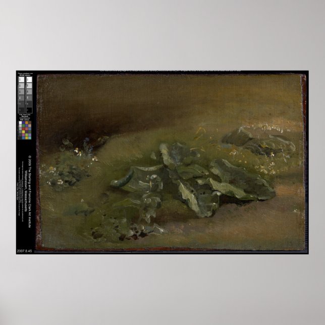 Póster Estudio de un Burdock - John Constable (Frente)