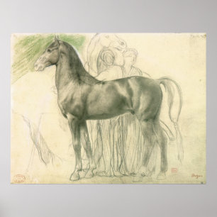 Póster Estudio de un caballo con las figuras
