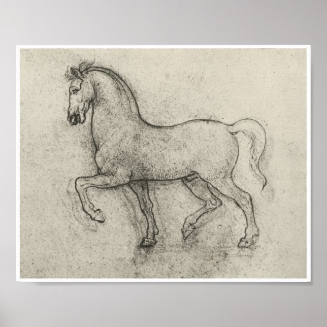 Póster Estudio de un caballo, Leonardo Da Vinci (Frente)