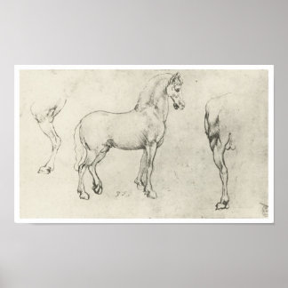 Póster Estudio de un caballo y su interior, Da Vinci