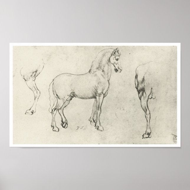 Póster Estudio de un caballo y su interior, Da Vinci (Frente)