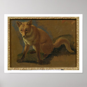 Póster Estudio de un Fox (aceite en el panel)