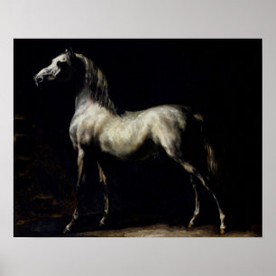 Póster Estudio de un gris de manzana