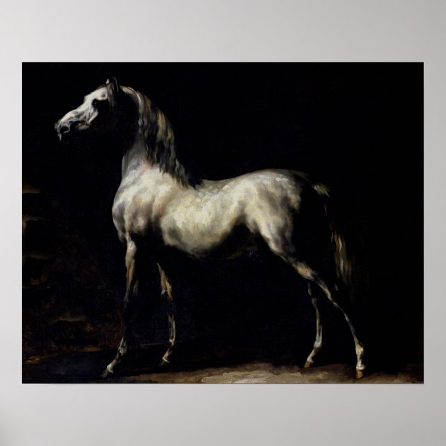 Póster Estudio de un gris de manzana (Frente)