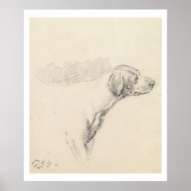 Póster Estudio de un Hound, 1794 (lápiz sobre papel) (Frente)