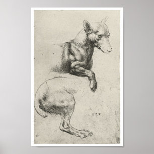 Póster Estudio de un perro, Leonardo Da Vinci