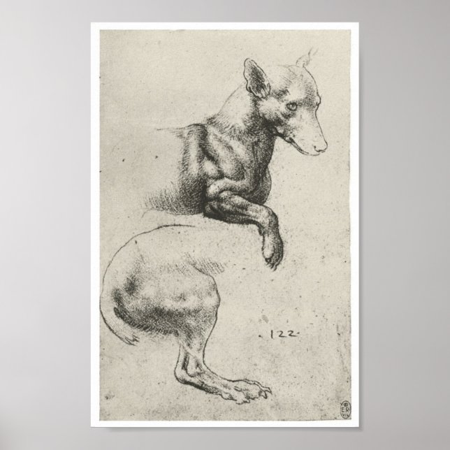 Póster Estudio de un perro, Leonardo Da Vinci (Frente)