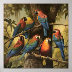 Póster Estudio de Vida Silvestre de Guacamayo Escarlata e