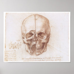 Póster Estudio del cráneo humano, Leonardo da Vinci