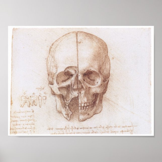 Póster Estudio del cráneo humano, Leonardo da Vinci (Frente)
