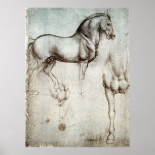 Póster Estudio del Poster de caballos