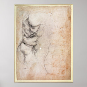 Póster Estudio del torso y de la nalga