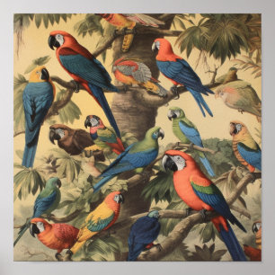 Póster Estudio Naturalista de Dosel de Loro Botánica Vint