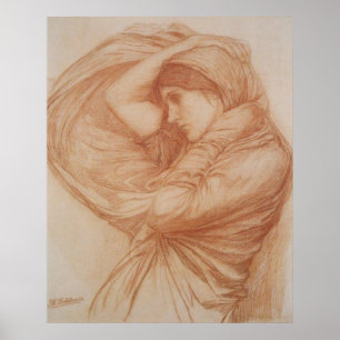 Póster Estudio para Boreas