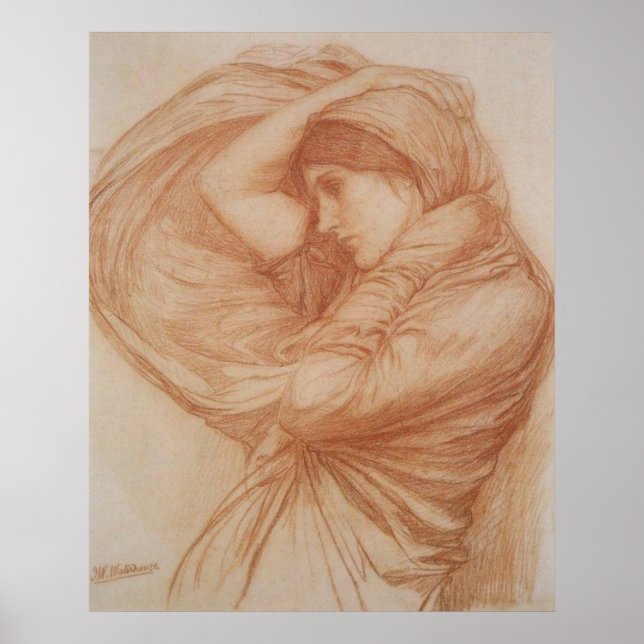 Póster Estudio para Boreas (Frente)