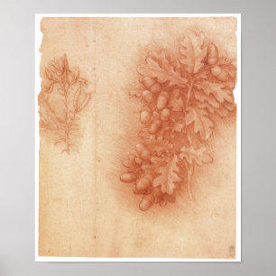 Póster Estudio para la pintura perdida, Leda, da Vinci