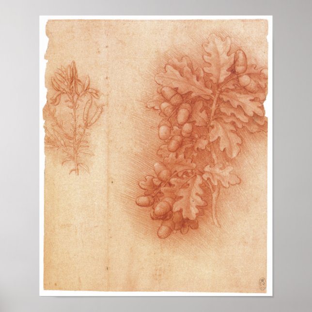 Póster Estudio para la pintura perdida, Leda, Da Vinci (Frente)