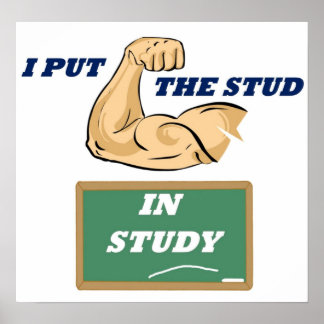 Póster Estudio Stud completo