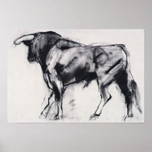 Póster Estudio Toro Azul