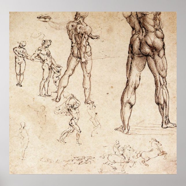 Póster Estudios anatómicos (Frente)