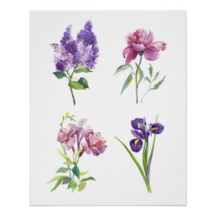 Póster Estudios de Acuarela Botánica – Lila, Peonía, Iris