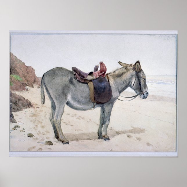 Póster Estudios de animales (Frente)