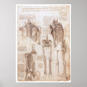 Póster Estudios de esqueleto, Leonardo Da Vinci, 1510