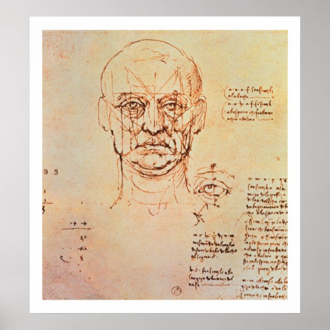 Póster Estudios de las proporciones de la cara y el ojo,  (Frente)