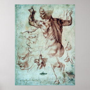 Póster Estudios de Miguel Ángel Buonarroti para la sibila