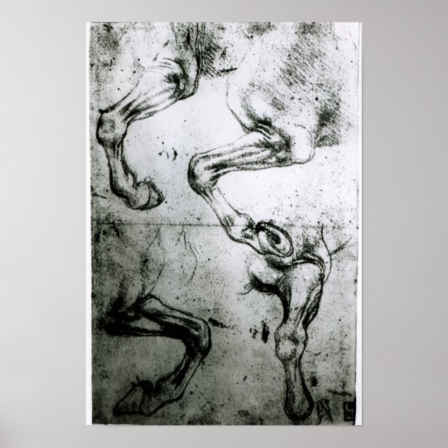 Póster Estudios de patas de caballo (Frente)