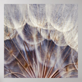 Póster Ethereal Dandalion Macro Abstract