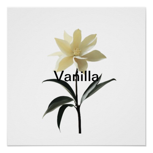 Póster Ethereal Magnolia Grace (Anverso)