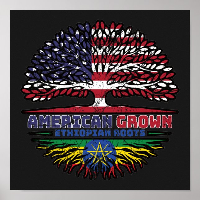 Póster Ethiopia Ethiopian US American USA United States (Frente)
