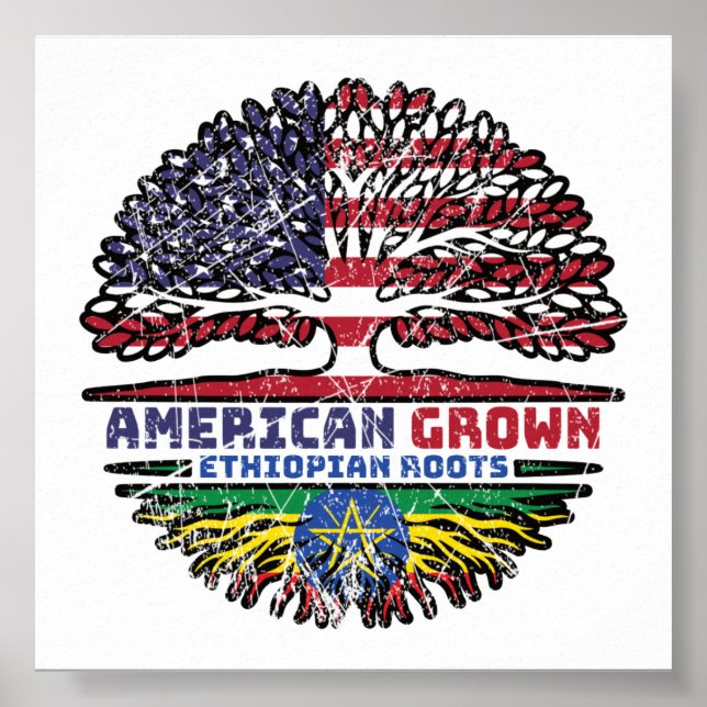 Póster Etiopía EEUU EEUU Estados Unidos (Frente)