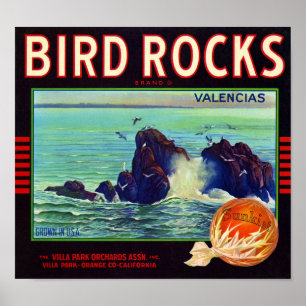 Póster Etiqueta de caja de fruta naranja de la marca Bird