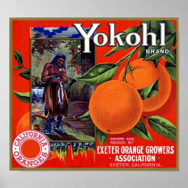 Póster Etiqueta de caja de naranja de la marca Yokohl Sch (Frente)