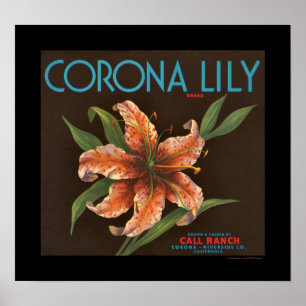 Póster Etiqueta de caja del Naranja de Corona Lily Vintag