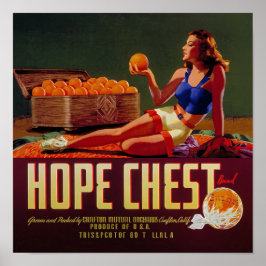 Póster Etiqueta de Frutas Naranjas Marca Vintage Hope Che