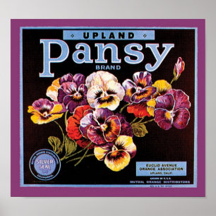 Póster Etiqueta de la tasa de entrada de Upland Pansy VIn