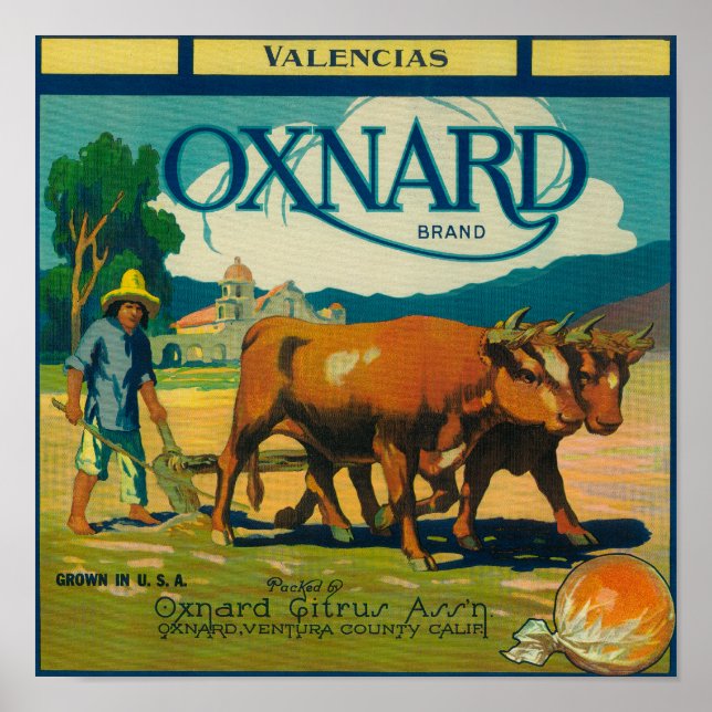 Póster Etiqueta de Naranja de OxnardOxnard, CA (Frente)