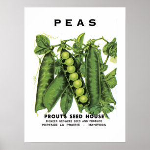 Póster Etiqueta de paquete de semilla de peas