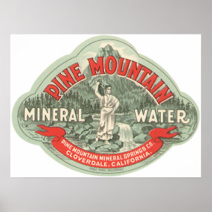 Póster Etiqueta de producto vintage, agua mineral de Pine