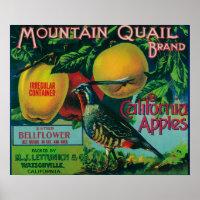 Etiqueta de tasa de Apple Quail