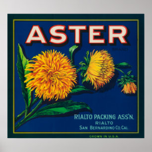 Póster Etiqueta de tasa de cítricos de marca Aster
