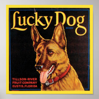 Póster Etiqueta de tasa de cosecha de vintage de perro af