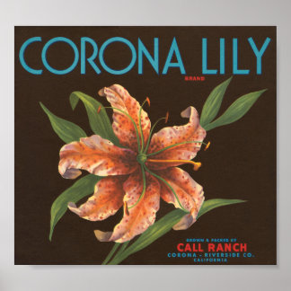 Póster Etiqueta de tasa de vintage de Corona Lily