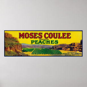 Póster Etiqueta del melocotón de Moses Coulee