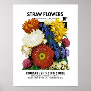 Póster Etiqueta del paquete de la semilla de flores de la