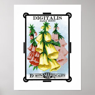 Póster Etiqueta del paquete de la semilla de la digital