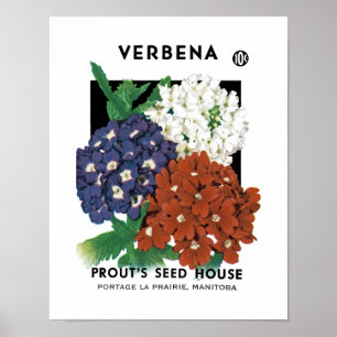 Póster Etiqueta del paquete de la semilla de la verbena